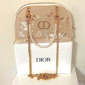 DIOR Mesh Embroidered pouch